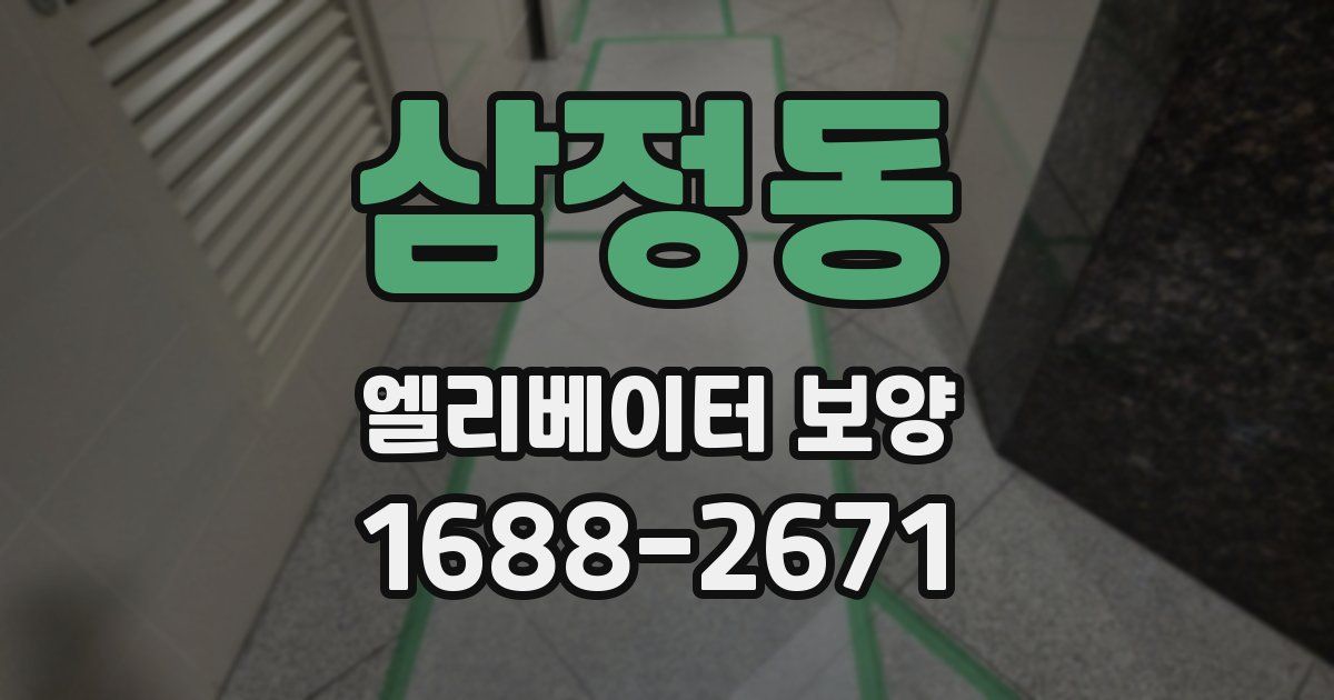 삼정동 엘리베이터 보양