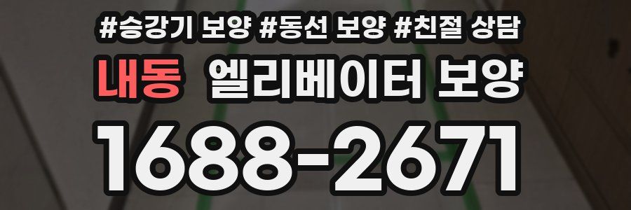 내동 엘리베이터 보양