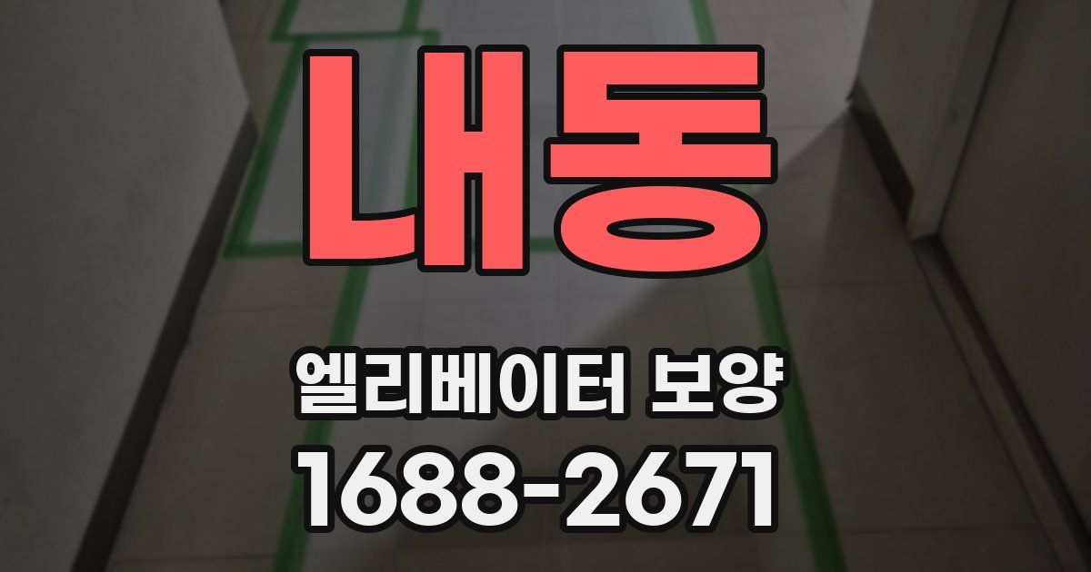내동 엘리베이터 보양