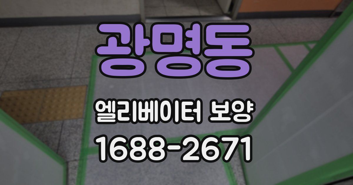 광명동 엘리베이터 보양