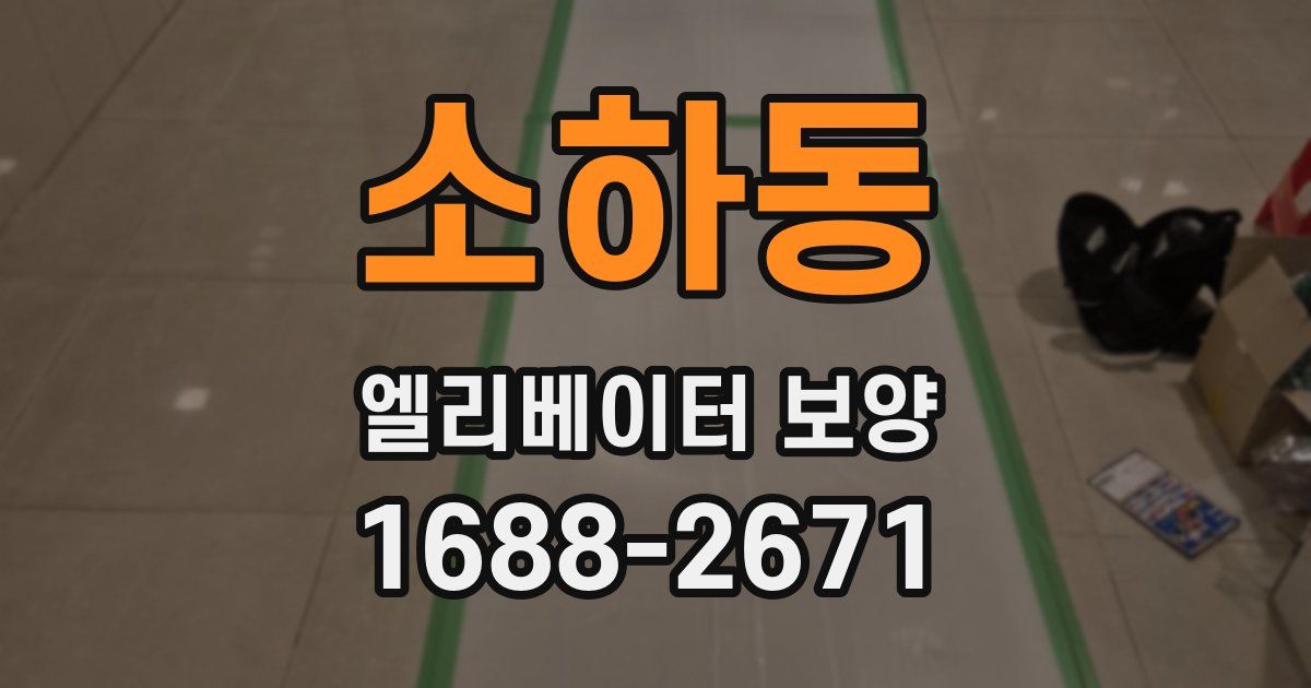 소하동 엘리베이터 보양