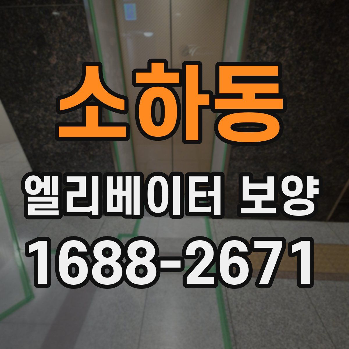 소하동 엘리베이터 보양