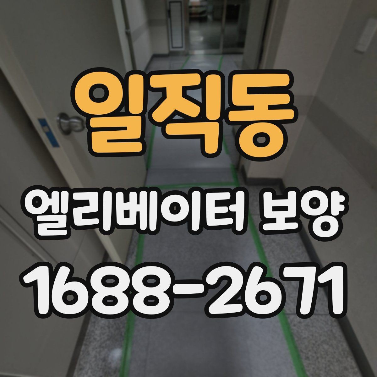 일직동 엘리베이터 보양 작업 범위를 정하는 기준