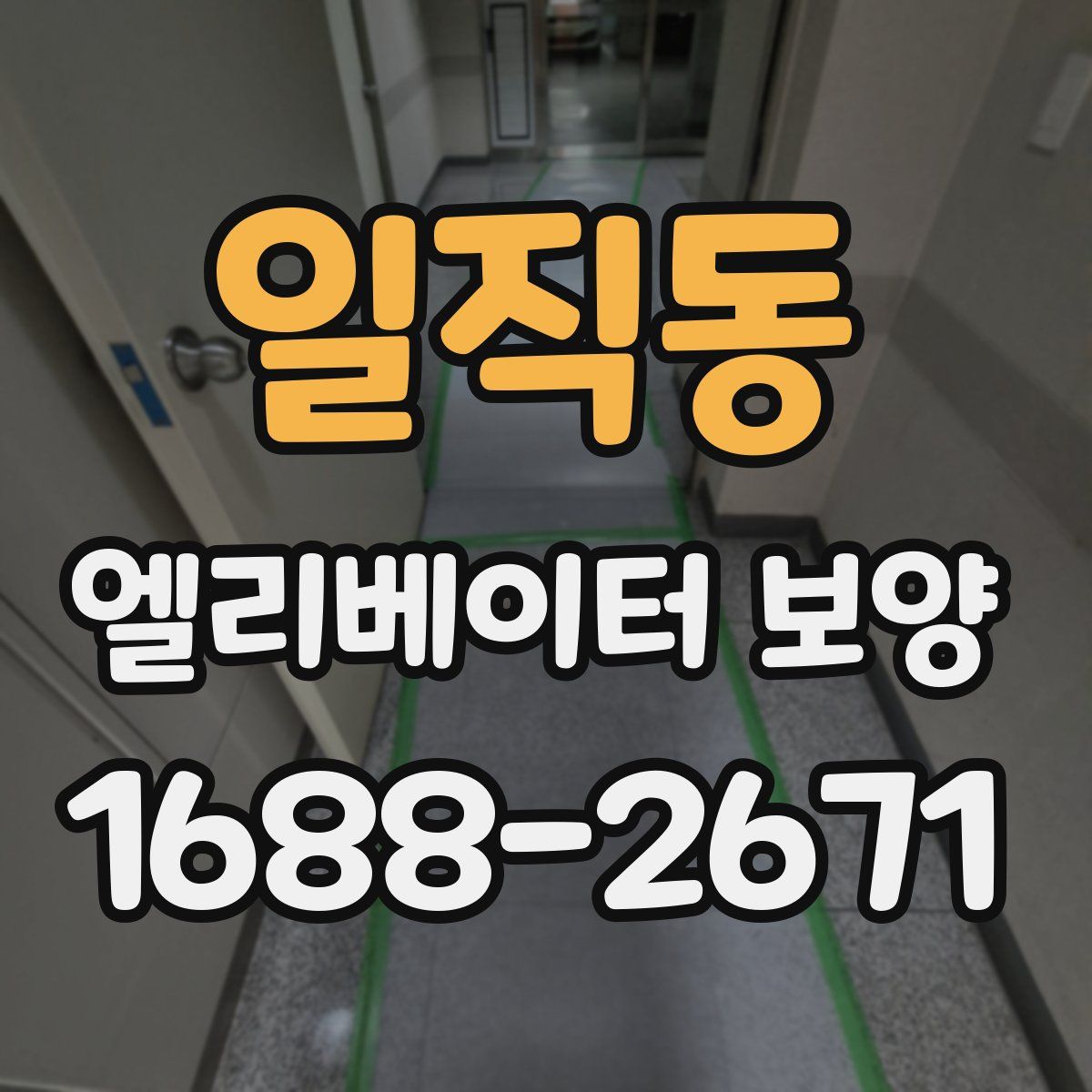 일직동 엘리베이터 보양
