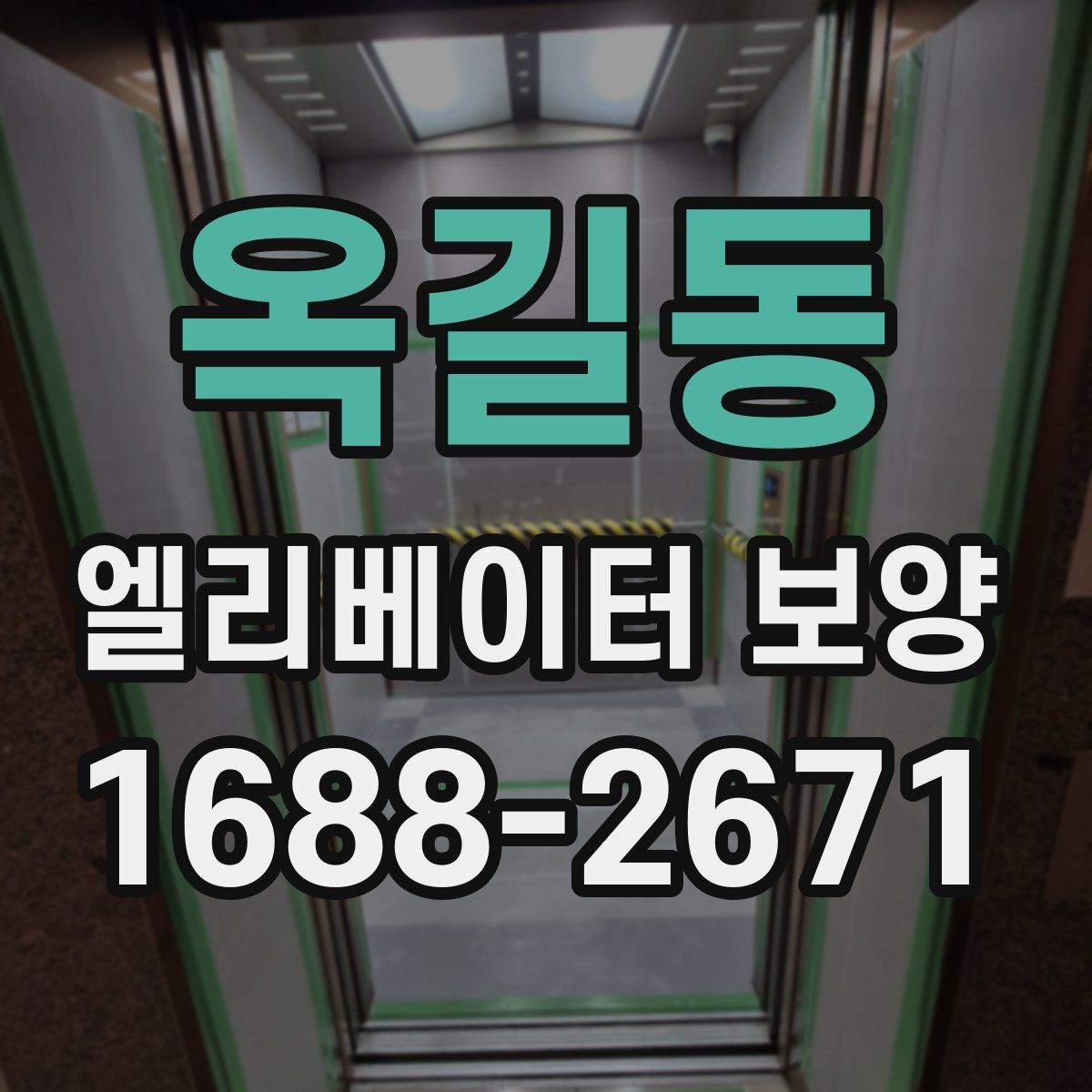 옥길동 엘리베이터 보양