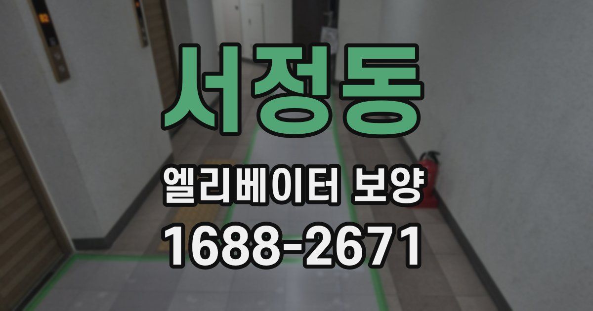 서정동 엘리베이터 보양