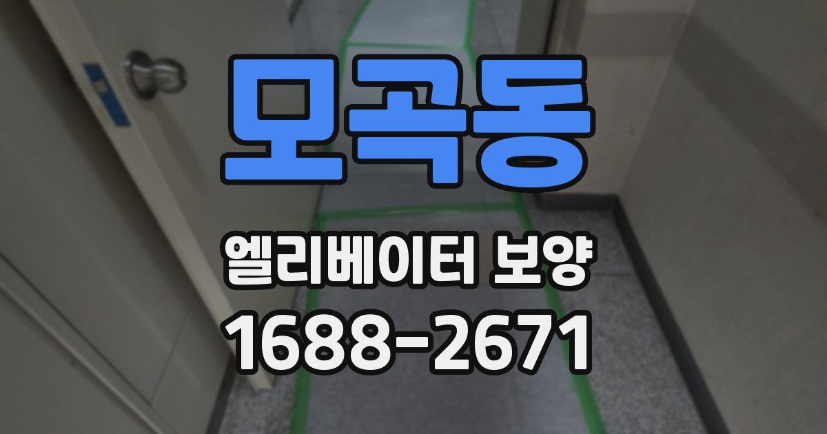 모곡동 엘리베이터 보양