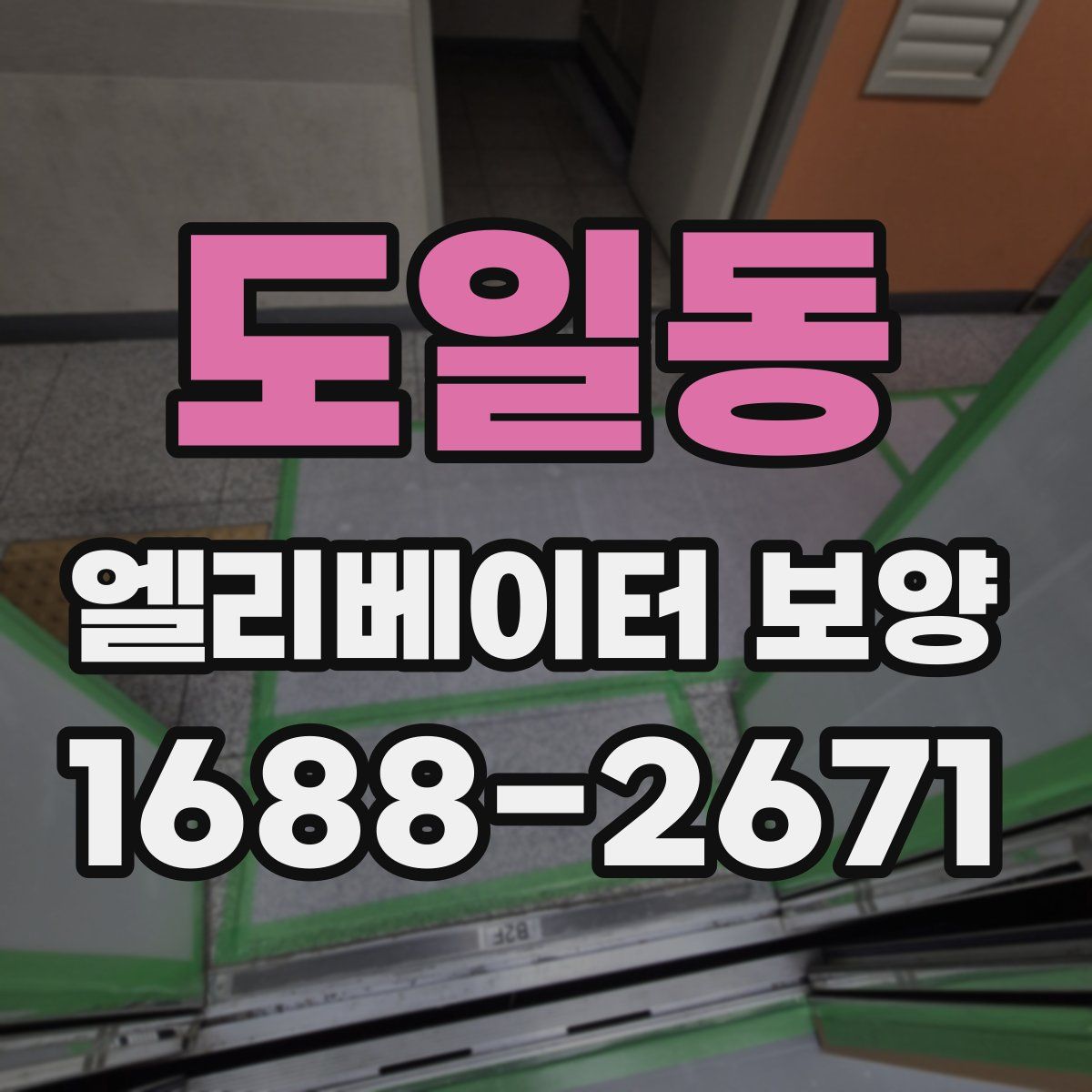 도일동 엘리베이터 보양