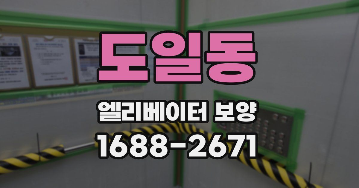 도일동 엘리베이터 보양