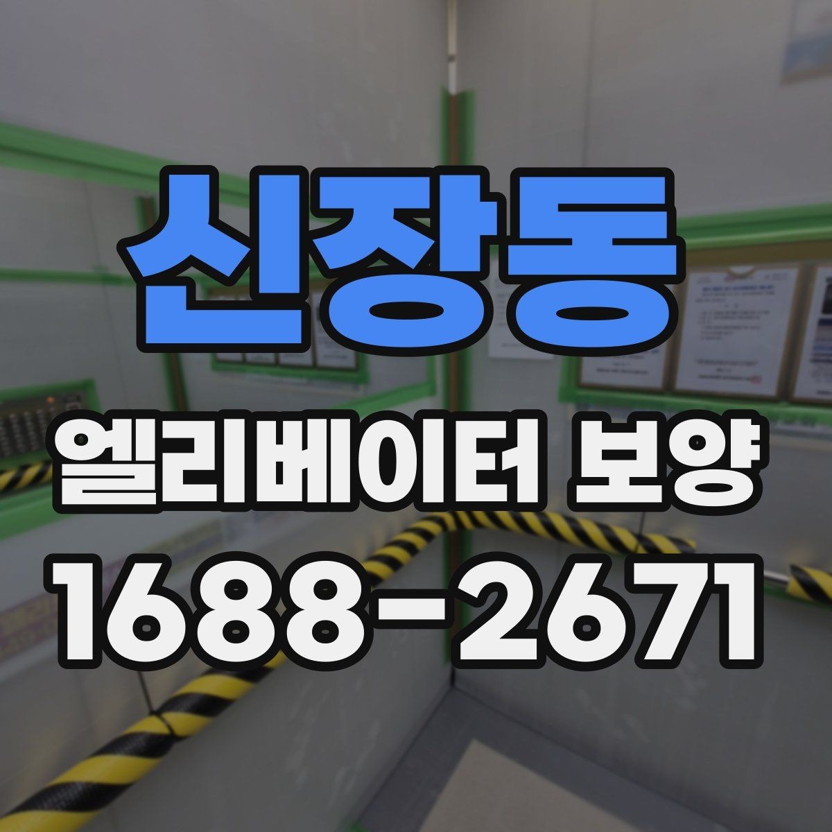 신장동 엘리베이터 보양 종류별 특징과 활용 상황