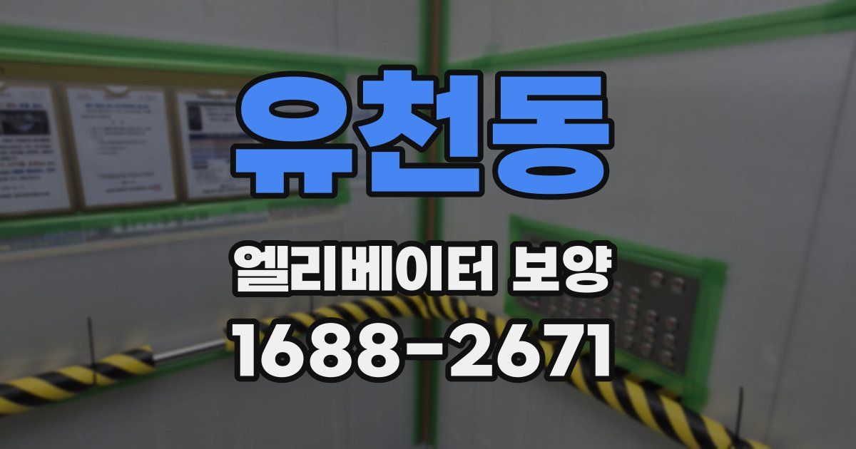 유천동 엘리베이터 보양