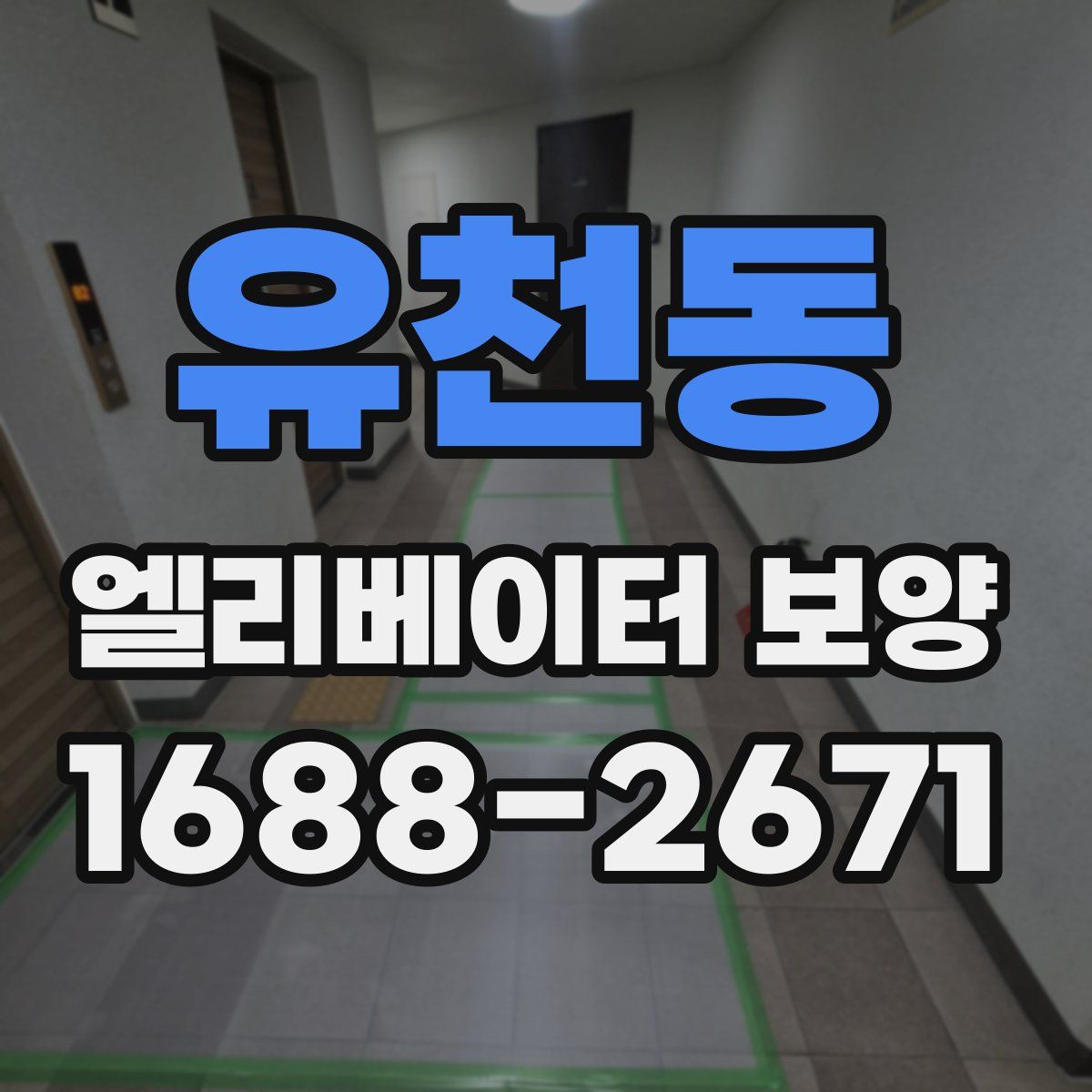 유천동 엘리베이터 보양