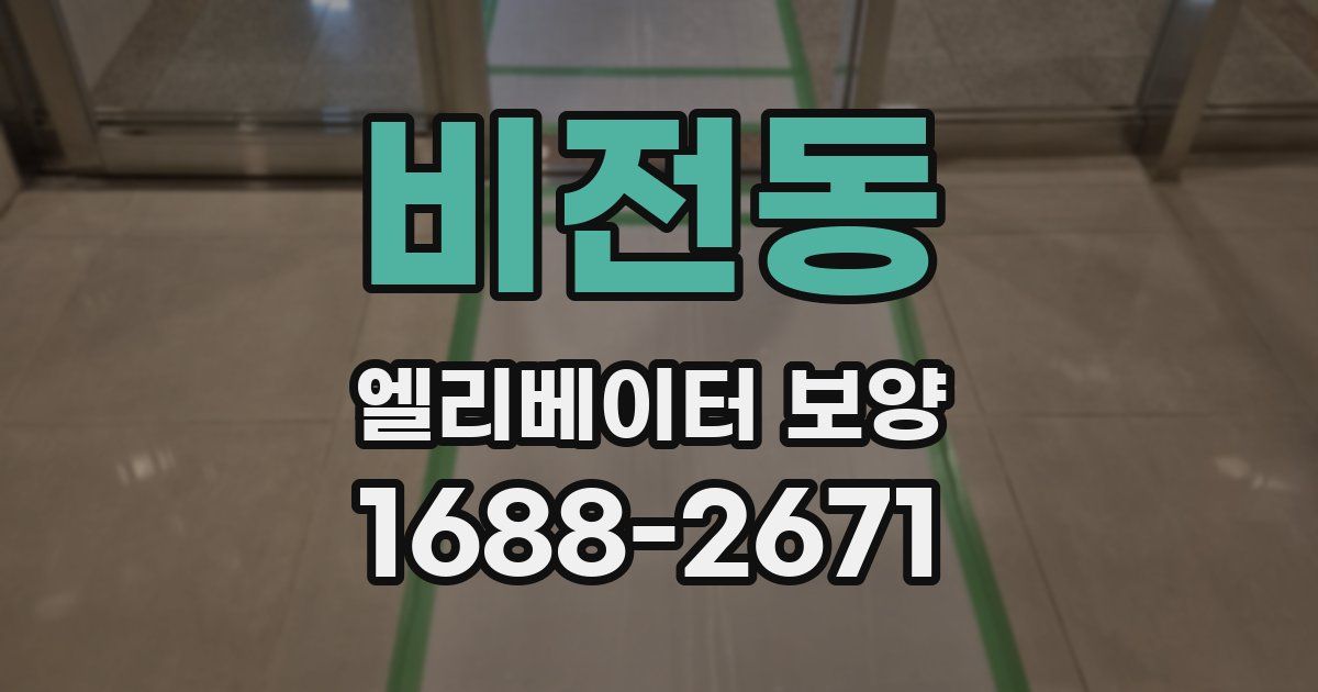 비전동 엘리베이터 보양