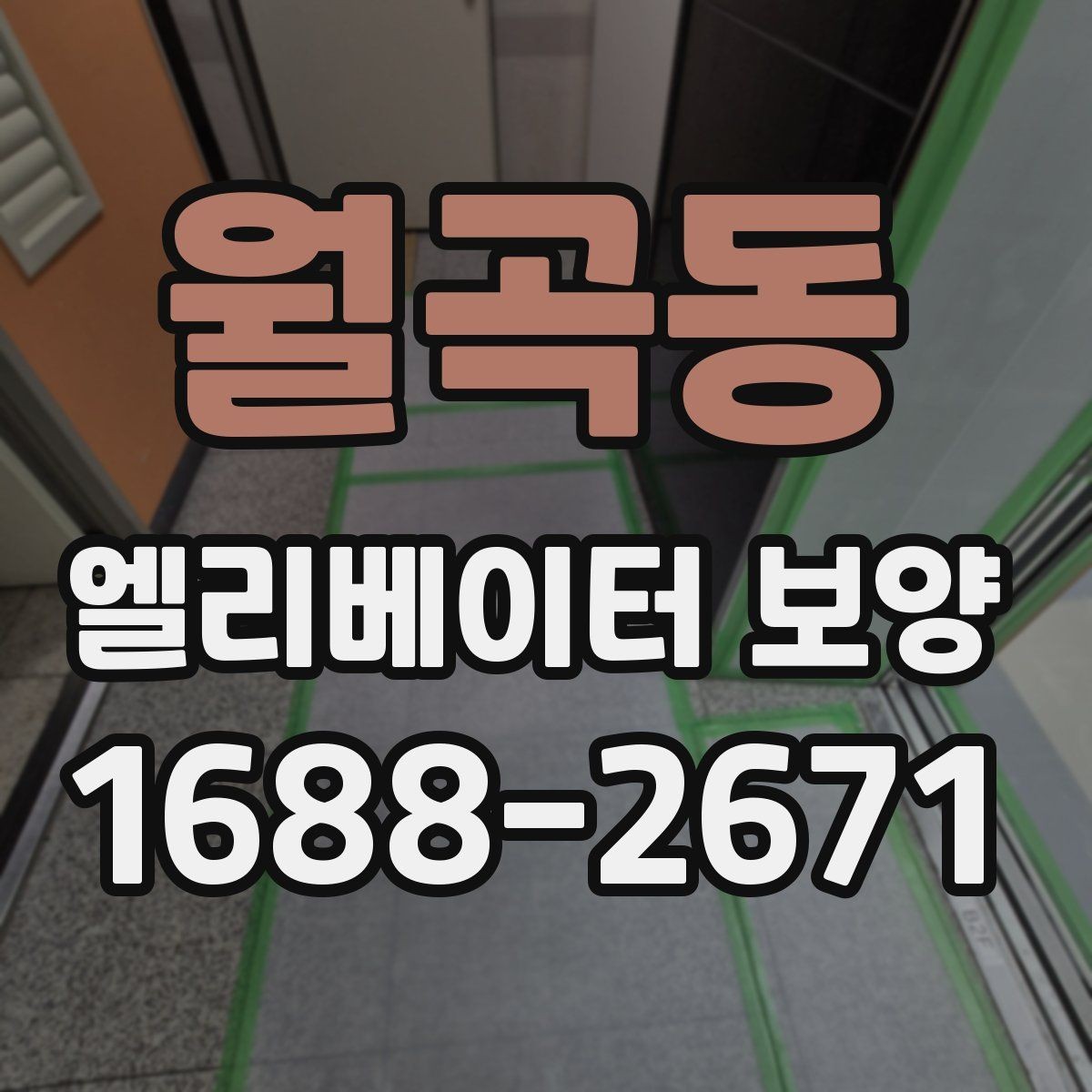 월곡동 엘리베이터 보양 준비부터 철거까지 한눈에 보기