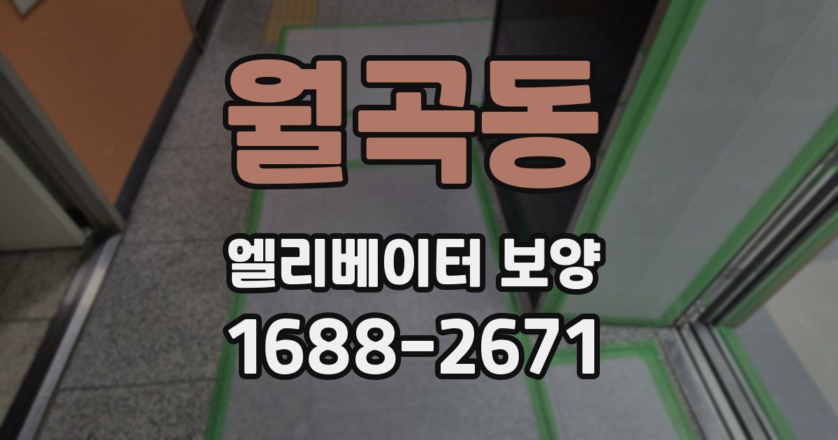 월곡동 엘리베이터 보양