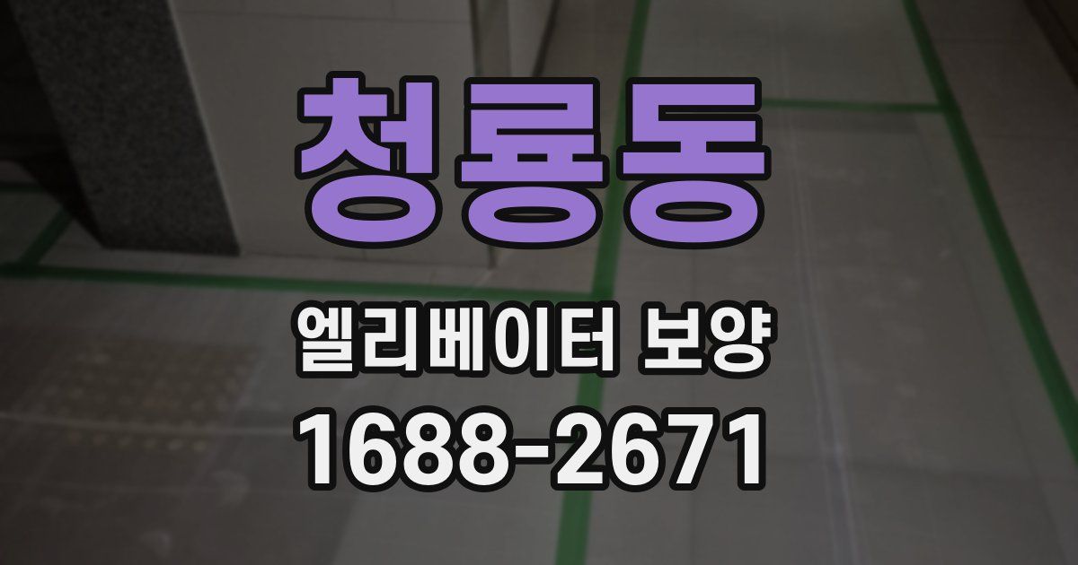 청룡동 엘리베이터 보양