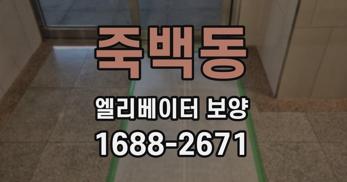 죽백동 엘리베이터 보양