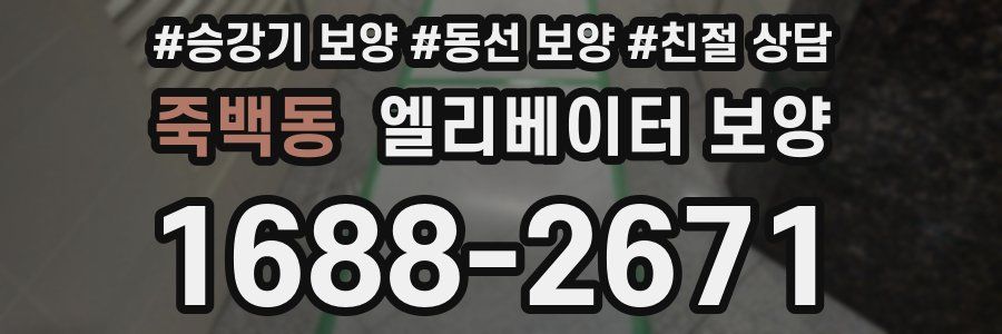 죽백동 엘리베이터 보양
