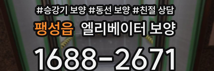 팽성읍 엘리베이터 보양