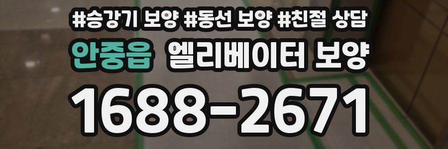 안중읍 엘리베이터 보양