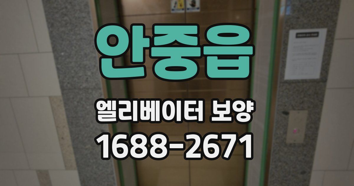 안중읍 엘리베이터 보양