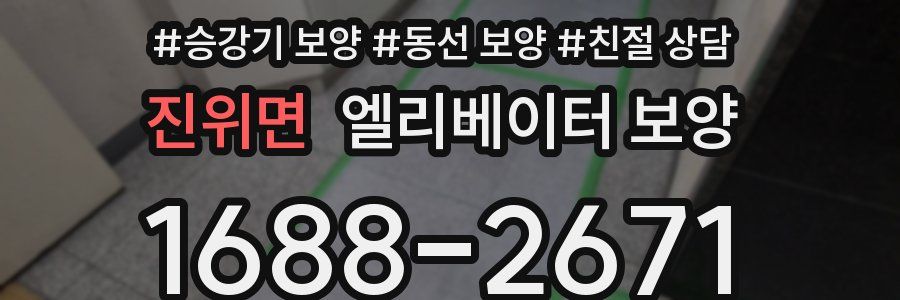진위면 엘리베이터 보양