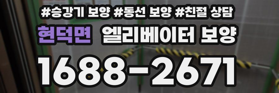 현덕면 엘리베이터 보양