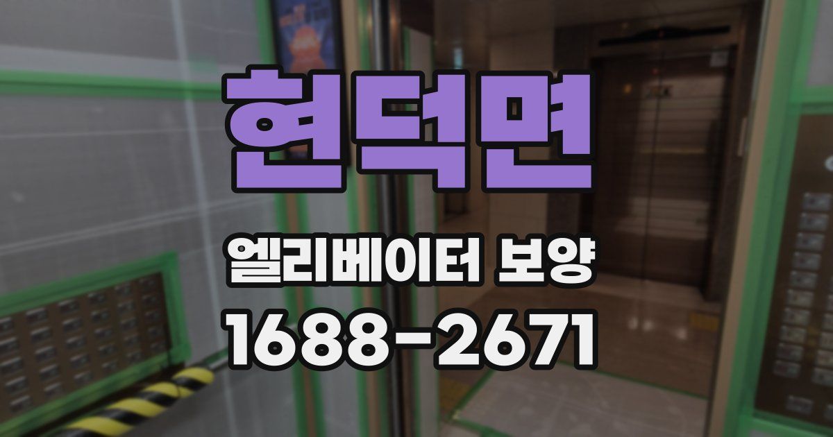 현덕면 엘리베이터 보양