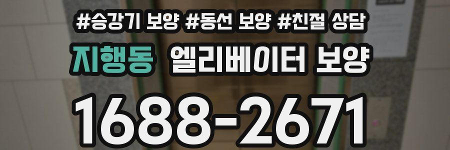지행동 엘리베이터 보양