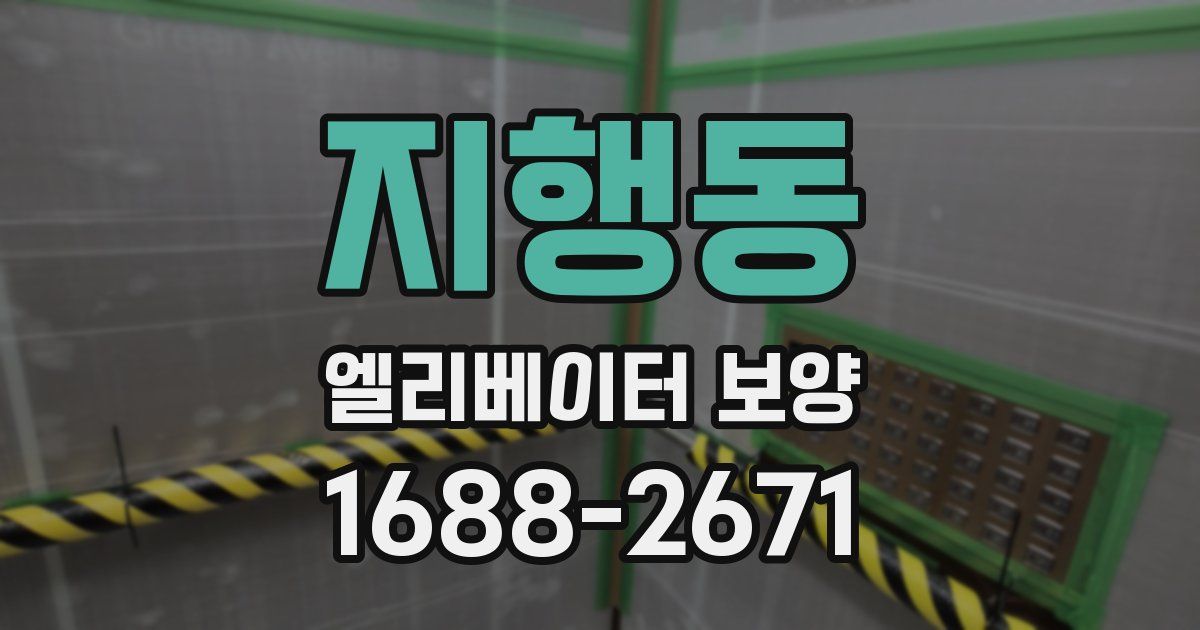 지행동 엘리베이터 보양
