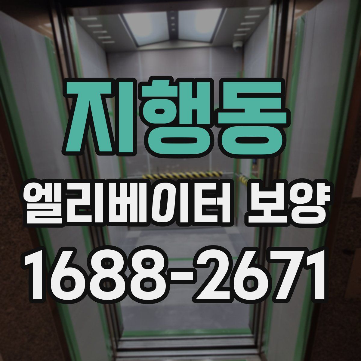 지행동 엘리베이터 보양