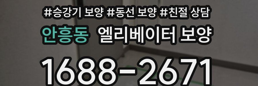 안흥동 엘리베이터 보양