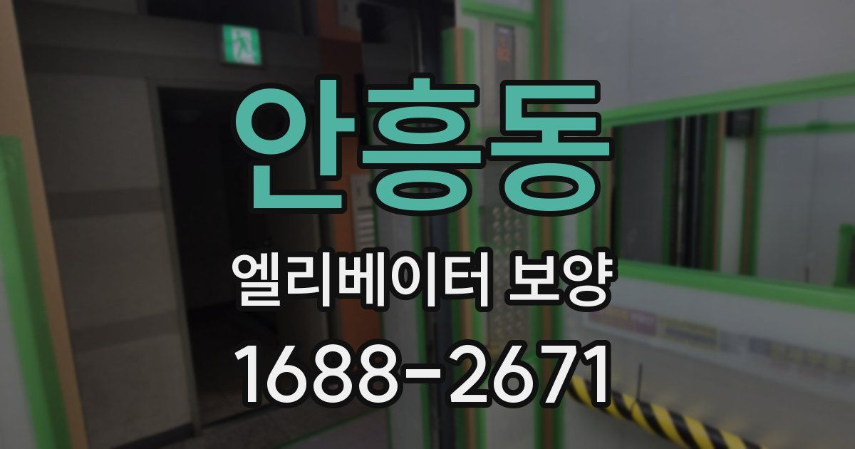 안흥동 엘리베이터 보양