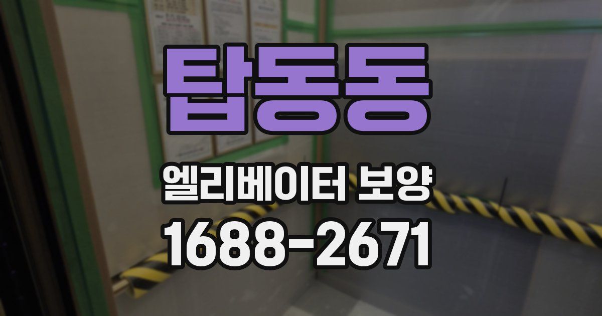 탑동동 엘리베이터 보양