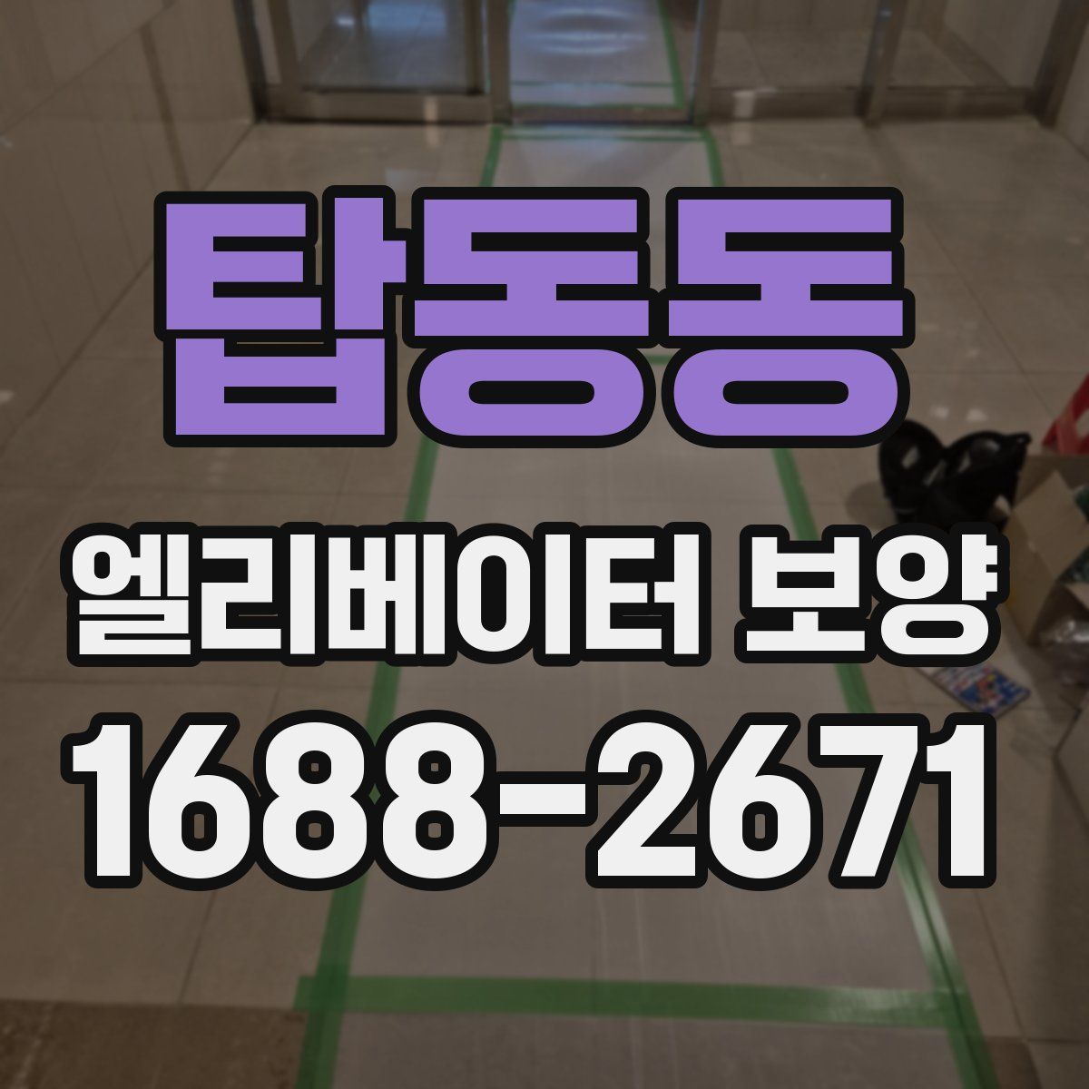 탑동동 엘리베이터 보양