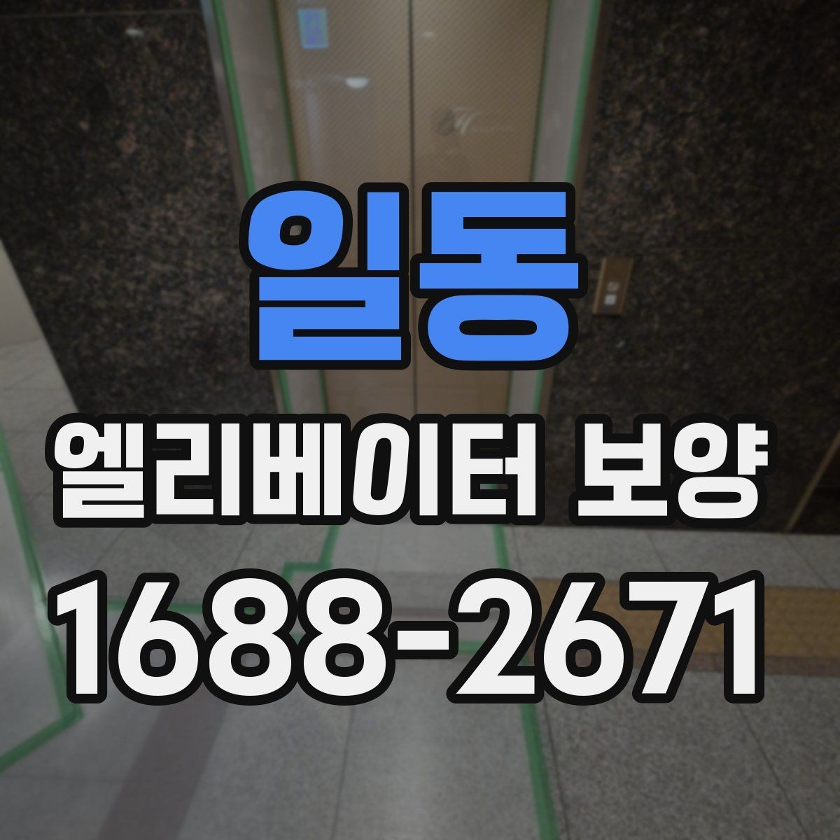 일동 엘리베이터 보양 자재별 내구성과 활용성 살펴보기