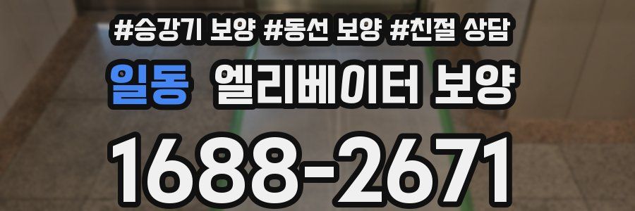 일동 엘리베이터 보양
