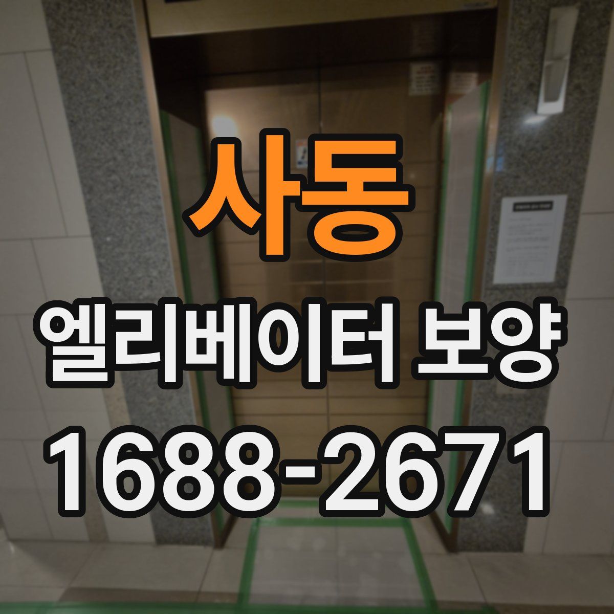 사동 엘리베이터 보양