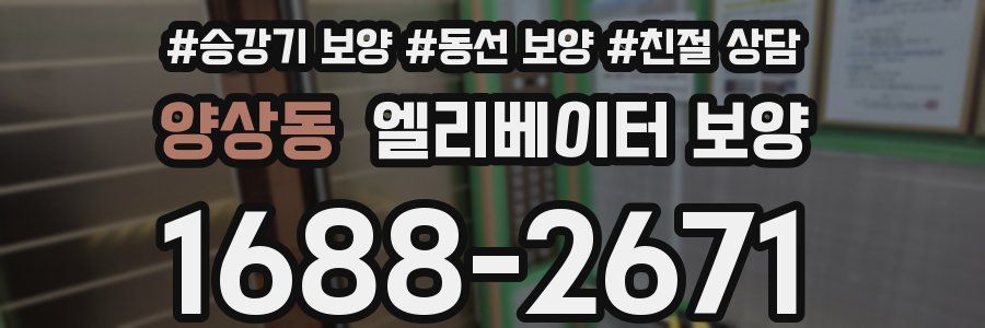 양상동 엘리베이터 보양