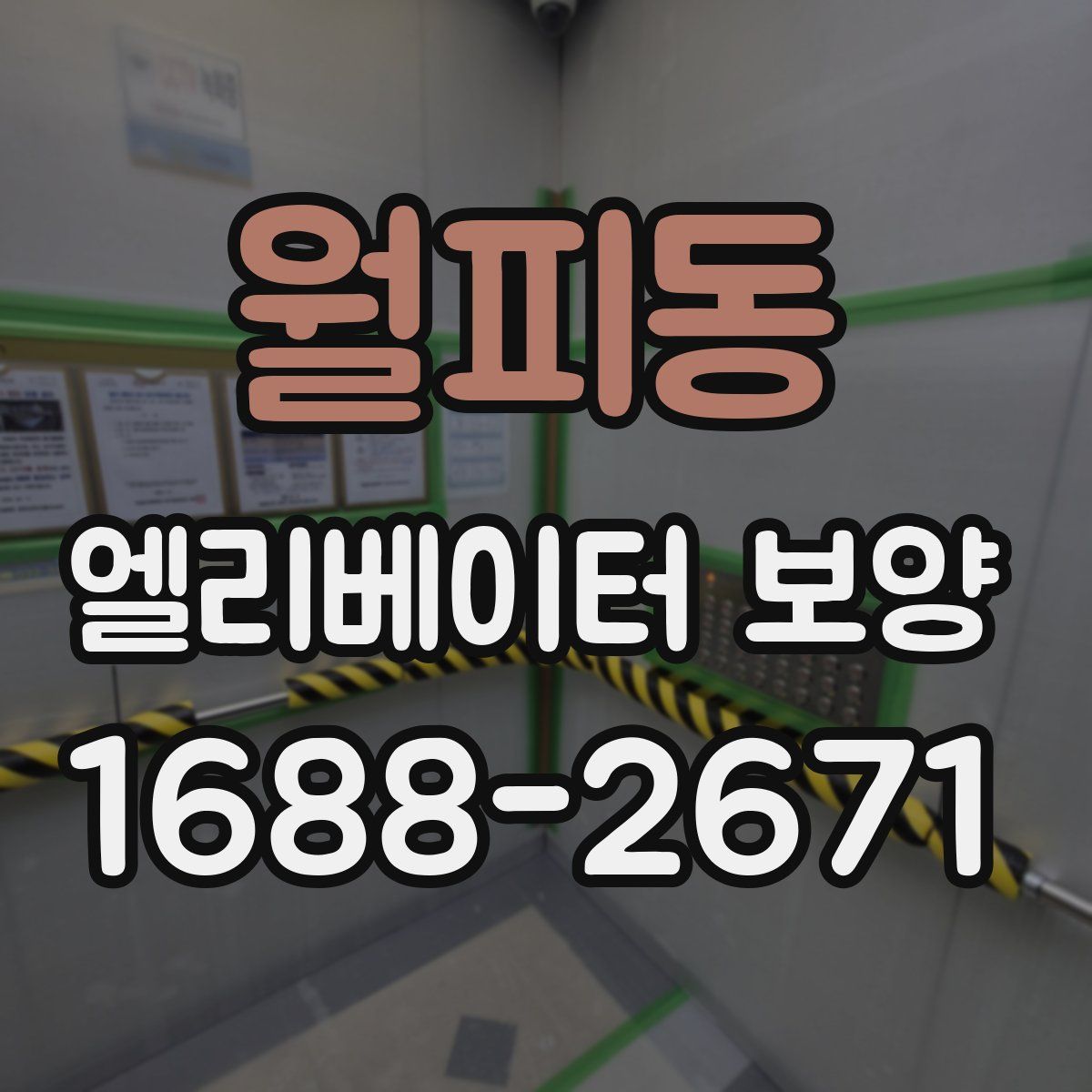 월피동 엘리베이터 보양
