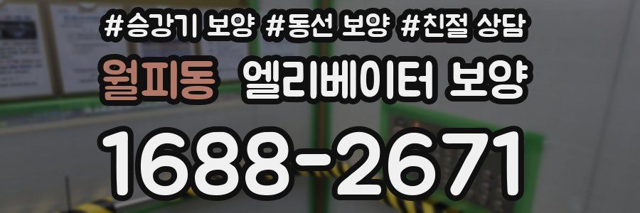 월피동 엘리베이터 보양