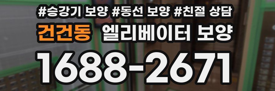건건동 엘리베이터 보양