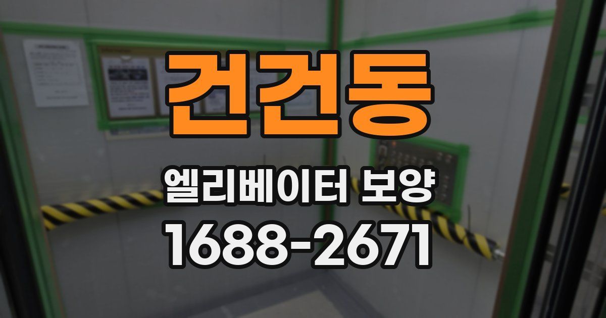 건건동 엘리베이터 보양