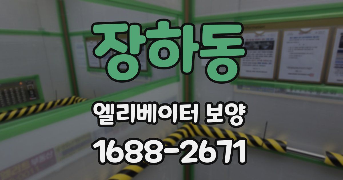 장하동 엘리베이터 보양