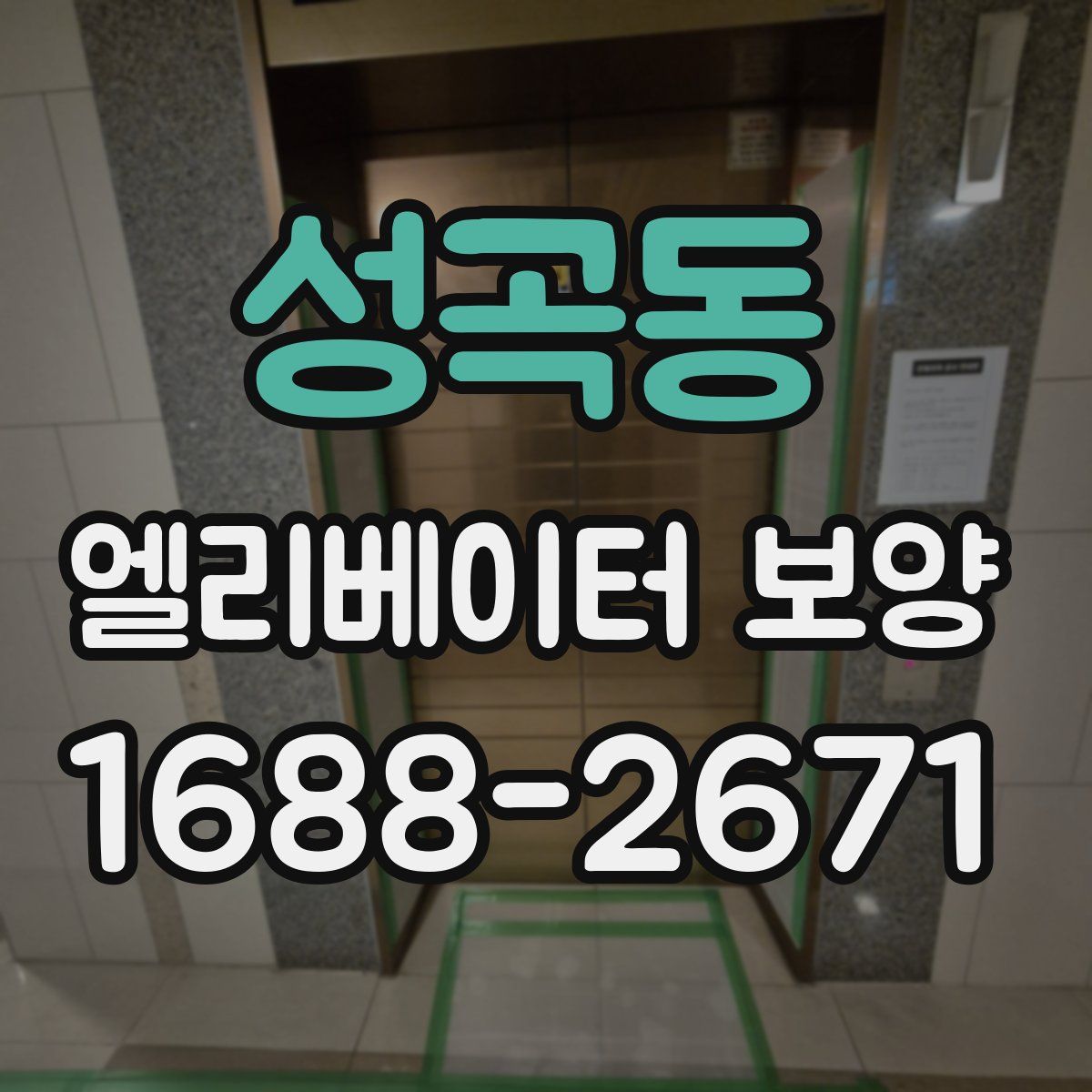 성곡동 엘리베이터 보양