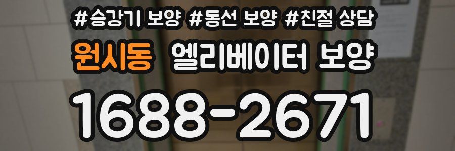 원시동 엘리베이터 보양