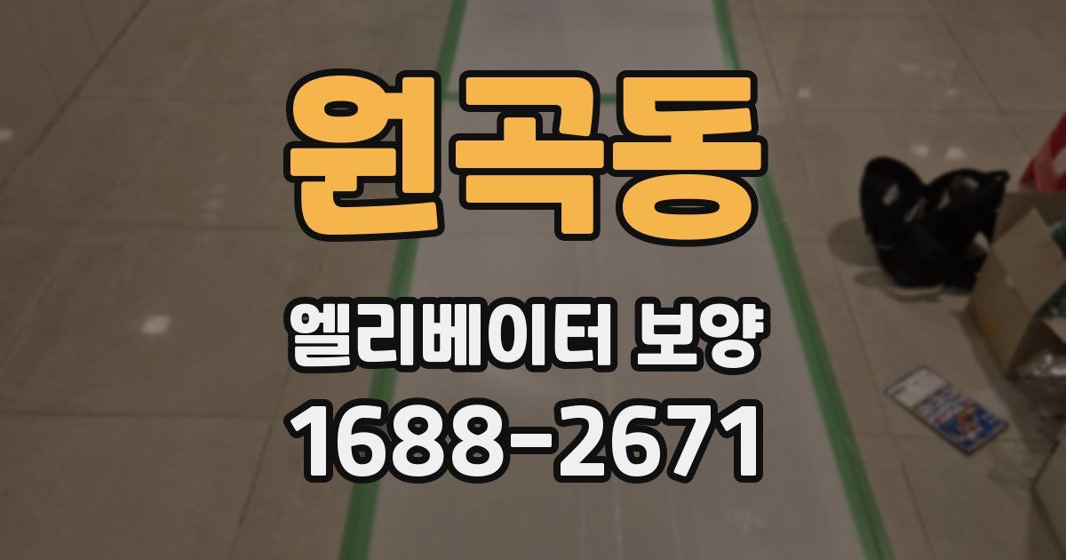 원곡동 엘리베이터 보양