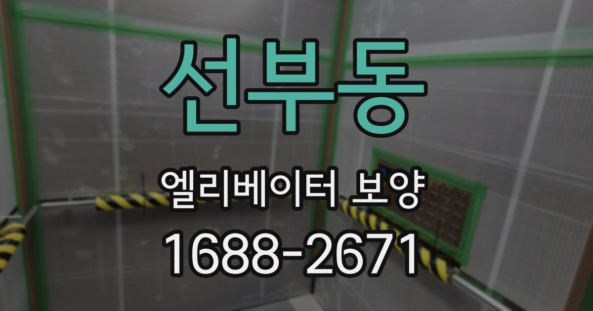 선부동 엘리베이터 보양