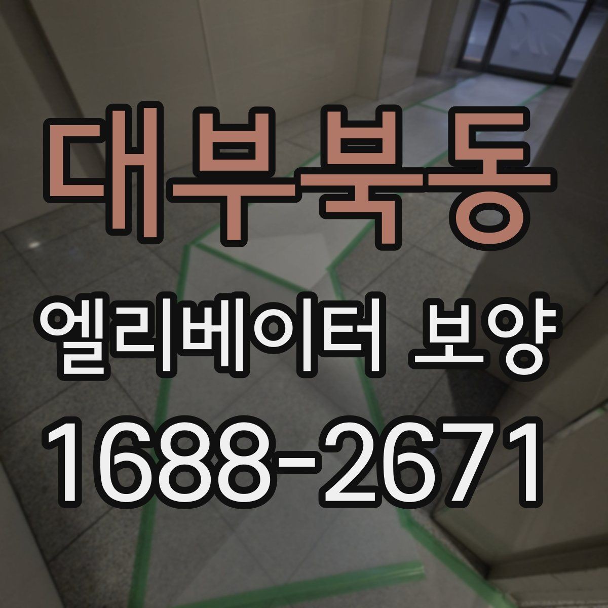 대부북동 엘리베이터 보양 적용 구역을 넓게 잡아야 할 때