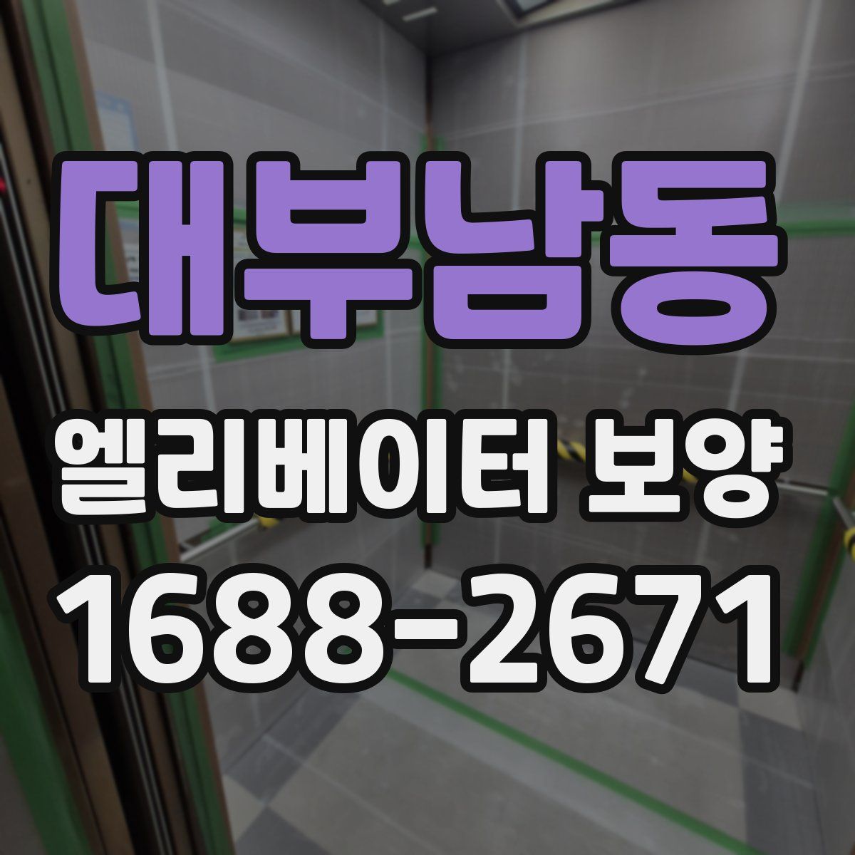 대부남동 엘리베이터 보양